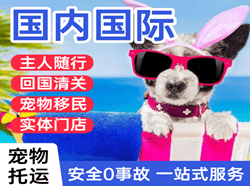 克拉玛依古海机场快递国际宠物托运 【国